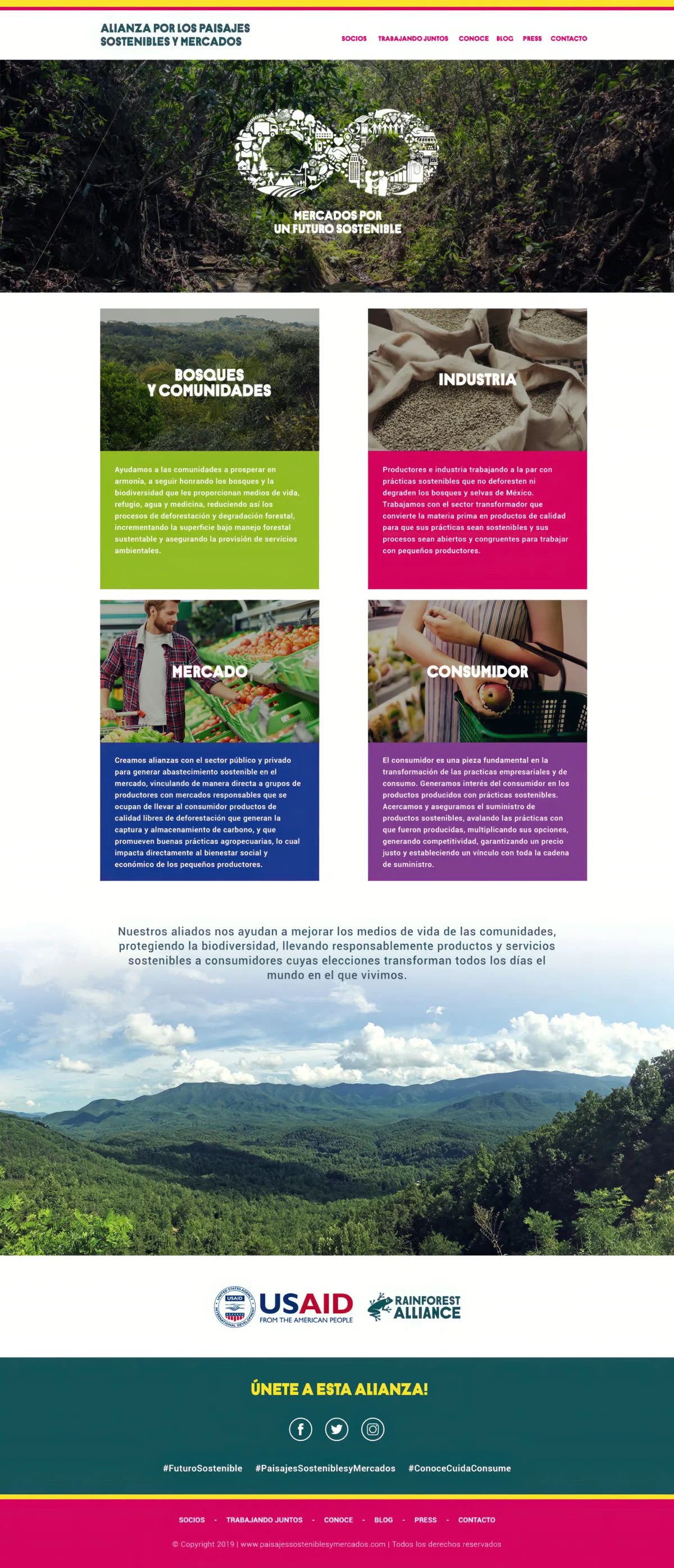 diseño web Rain Forest — proyecto AlmaBruta (3)